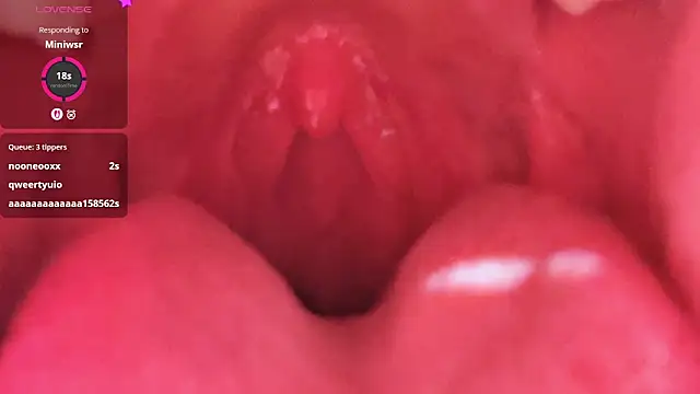 LT-333 online show from February 26, 2026, 5:23 pm