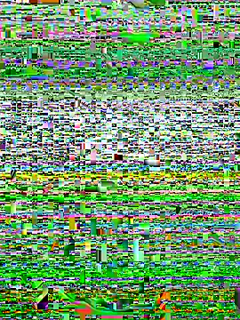 alexzzzzzppp online show from November 27, 2025, 3:47 pm