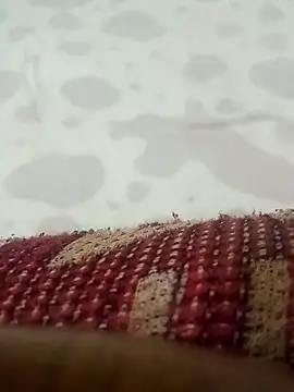 HKOOOH80 online show from March 19, 2026, 9:41 pm