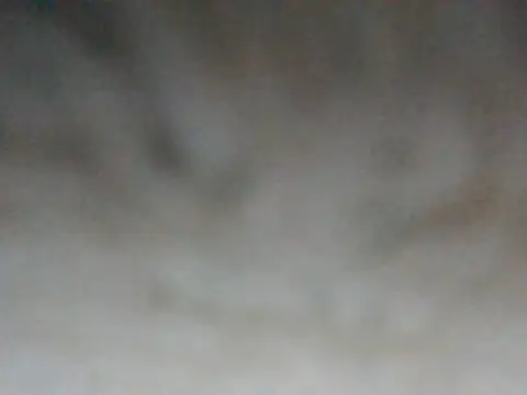 ilove90123 online show from March 16, 2026, 8:24 pm