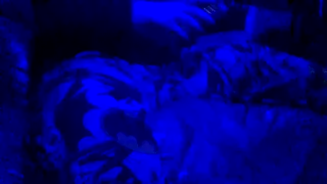 joshbrown699 online show from November 30, 2025, 5:11 am