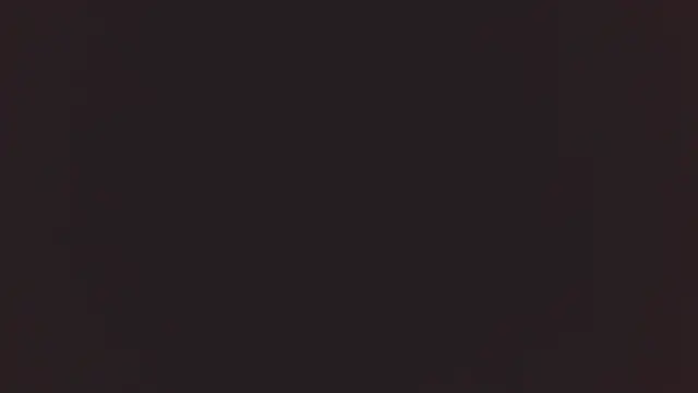 Bellamorgann online show from December 2, 2025, 11:00 pm