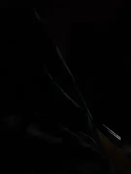 hot8veera online show from December 2, 2025, 12:32 pm