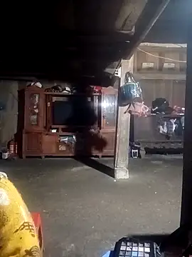 ava-dellght online show from February 4, 2026, 2:28 am