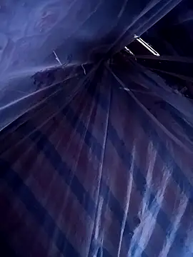 ava-dellght online show from April 14, 2026, 6:08 am