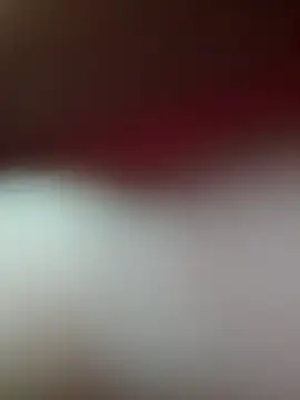 WDaliaW online show from December 4, 2025, 12:36 pm