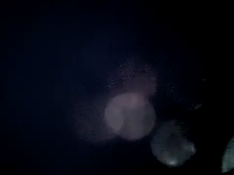 Snapshot of jefflatex45 chatting on May 5, 2026, 12:24 pm jefflatex45 online show from May 5, 2026, 12:24 pm