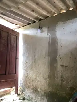 Snapshot of Samsam-006 chatting on January 17, 2026, 5:56 am Samsam-006 online show from January 17, 2026, 5:56 am