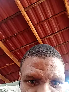 msindo online show from April 9, 2026, 6:30 am