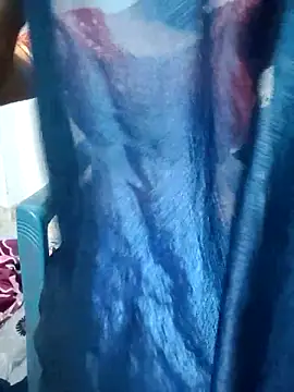 telugupravalli online show from February 4, 2026, 1:17 pm