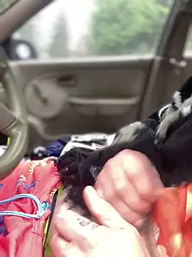 Ldnick69 online show from March 24, 2026, 5:40 pm