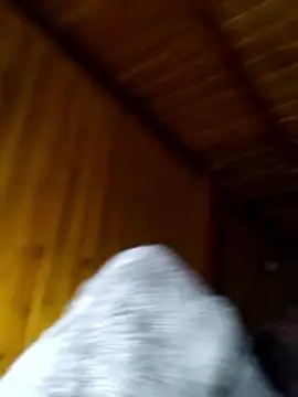 neko-nancy online show from February 28, 2026, 2:29 pm