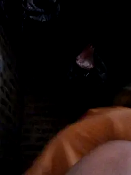 Snapshot of yana-zz chatting on March 28, 2026, 1:38 am yana-zz online show from March 28, 2026, 1:38 am