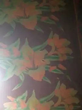 Snapshot of yana-zz chatting on April 12, 2026, 2:11 pm yana-zz online show from April 12, 2026, 2:11 pm