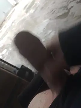 Mar81 online show from February 3, 2026, 12:21 pm