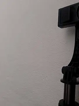 Snapshot of alevlibayan chatting on December 16, 2025, 9:58 am alevlibayan online show from December 16, 2025, 9:58 am