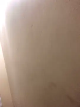 Ran-ga online show from February 7, 2026, 2:10 pm