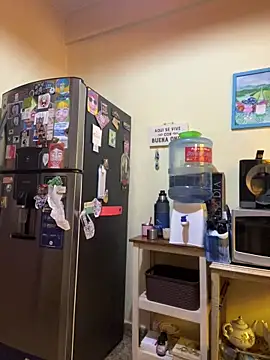 Yara-Lolii online show from February 17, 2026, 11:18 am