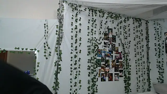 DeerMiracle online show from January 9, 2026, 4:04 am