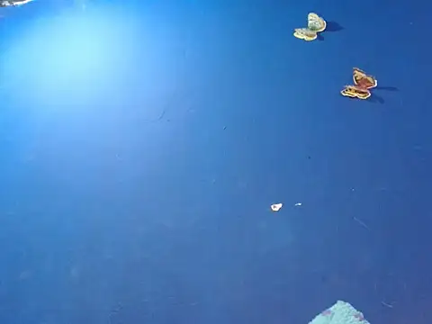 sk8-boy online show from December 18, 2025, 1:39 pm