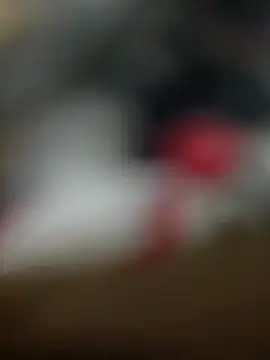 Sammyboii006 online show from February 11, 2026, 6:29 am