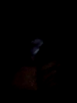 Snapshot of yourwellman chatting on March 5, 2026, 5:20 pm yourwellman online show from March 5, 2026, 5:20 pm