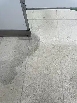 Latin Paisa Boy online show from April 9, 2026, 5:18 pm