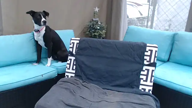 mspatience online show from March 6, 2026, 8:27 pm