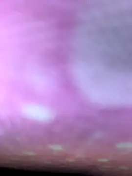 m9awadan online show from January 5, 2026, 9:18 pm