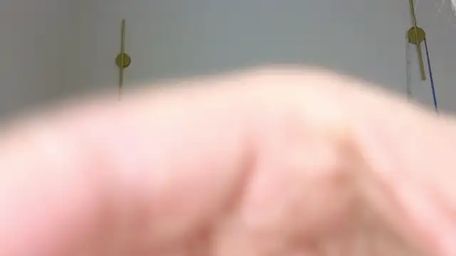 jasmilee online show from March 2, 2026, 5:08 am