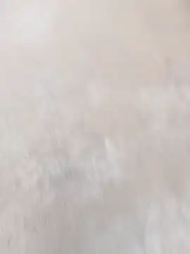 daksh  8 inche online show from April 7, 2026, 1:50 am