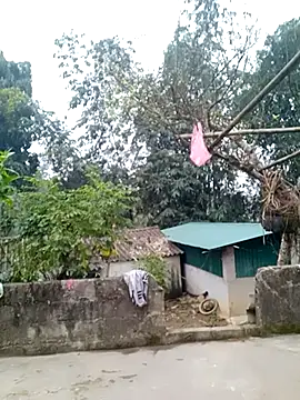 muamua99 online show from January 17, 2026, 12:15 am