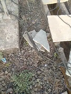 sexyboy 917 online show from April 1, 2026, 2:01 am