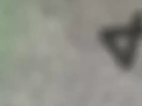 dearornge online show from March 17, 2026, 7:01 am