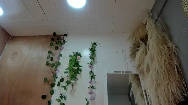 Alice randyy online show from February 10, 2026, 1:04 pm