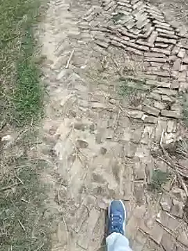 Pagelboy 089 online show from March 27, 2026, 8:20 am