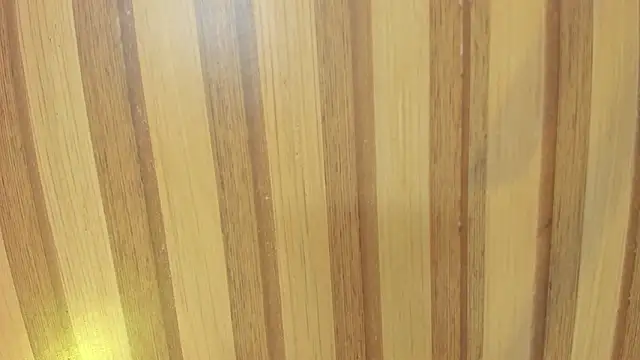 emily velvet   online show from March 30, 2026, 6:09 pm