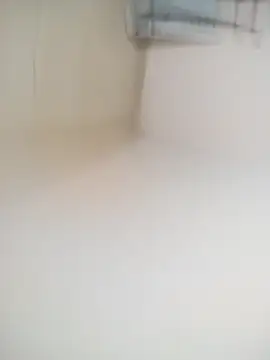 pene-rico13 online show from April 3, 2026, 1:47 am