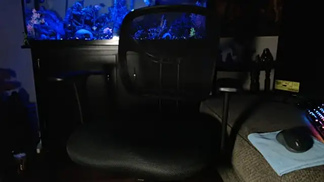 Snapshot of EspanolVato chatting on February 5, 2026, 10:42 am EspanolVato online show from February 5, 2026, 10:42 am