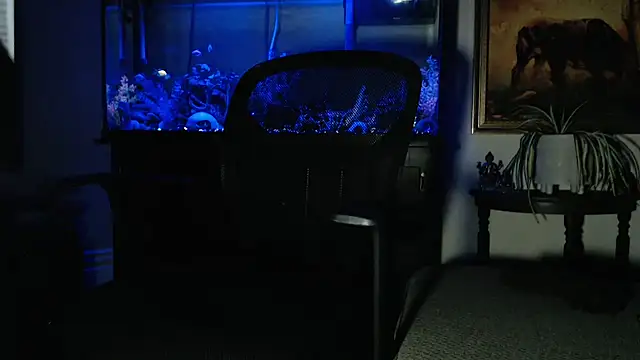 Snapshot of EspanolVato chatting on February 8, 2026, 9:13 am EspanolVato online show from February 8, 2026, 9:13 am