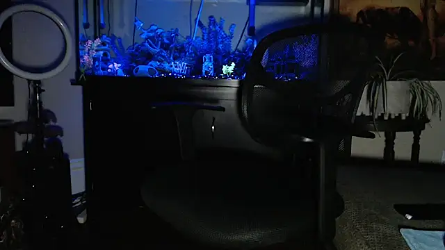 Snapshot of EspanolVato chatting on February 19, 2026, 10:55 am EspanolVato online show from February 19, 2026, 10:55 am