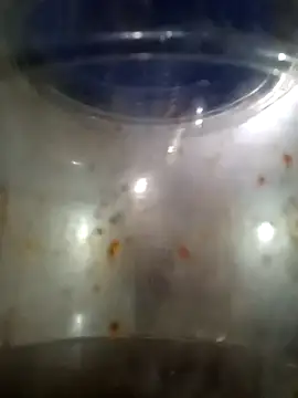 Snapshot of him220 chatting on March 12, 2026, 2:07 am him220 online show from March 12, 2026, 2:07 am