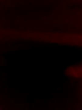 Ljijli online show from February 28, 2026, 11:39 pm
