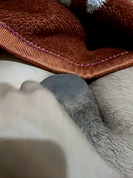  chota bunny  online show from February 24, 2026, 9:40 am