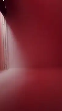 Der Schoene Penis online show from February 21, 2026, 11:00 am