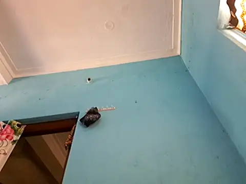 Snapshot of RaiStarrrr0-9 chatting on January 7, 2026, 8:17 am RaiStarrrr0-9 online show from January 7, 2026, 8:17 am