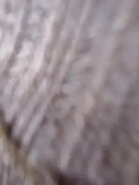 Cataleya 16 online show from March 15, 2026, 7:09 pm