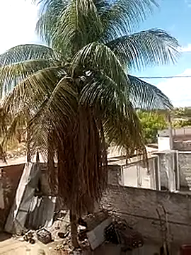     gozada---- online show from January 9, 2026, 3:59 pm