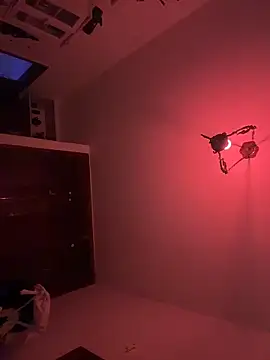 Snapshot of witchdub chatting on February 16, 2026, 2:13 pm witchdub online show from February 16, 2026, 2:13 pm