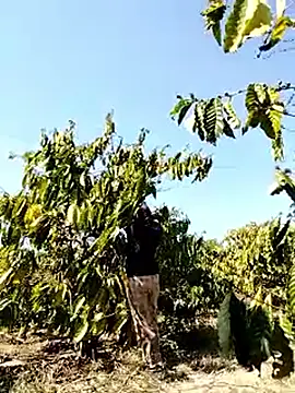 Ginny 2x online show from March 22, 2026, 7:34 am